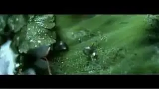 Фестиваль Соль.