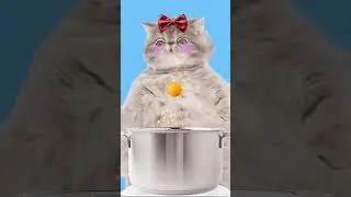 I did it!! / ping pong ball song/ funny pets /funny cat animation / healing / 재미있는 고양이 애니메이션/ 힐링샵