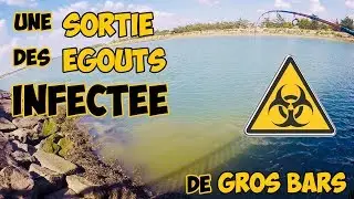 UNE SORTIE DES EGOUTS INFECTEE DE GROS BARS | PECHE GROS BARS EN MER
