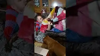 Собака - обнимака,  прижимака