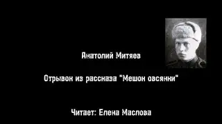 Год лейтенантской прозы. 100 лет со дня рождения Анатолия Митяева