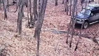 сафарик