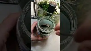 That same green stuff from Aunt Sonya