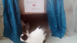House tour of Amelia and Watson part-1 #subscribe_please