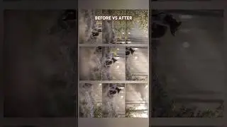 PANORAMA BEFORE & AFTER 