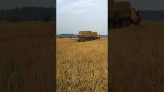 Возим сено в село #урал #уралсприцепом #газель #газельбизнес #газельсприцепом #регулмото #хайс