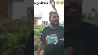 బర్లు పొలం మెత్తే //  #dhoomdhamcomedy #ddcadda #dhoomdhaamchannel #funnyvideos #kaccha #comedy