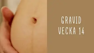Gravid vecka 14