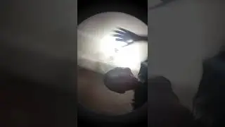 17 июня 2024 г.