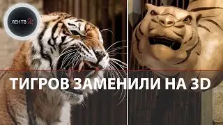 Из Форта Боярд убрали тигров | В телеигре больше не будет живых зверей