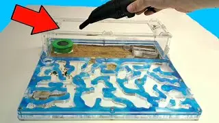 Я убрался мини пылесосом в форникариуме! / муравьи