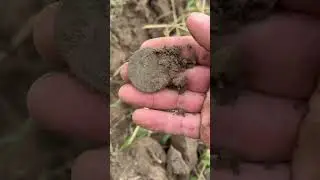 FOUND AN ANTIQUE COIN🔥😱😱 