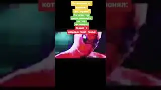 Без три полторы минуты