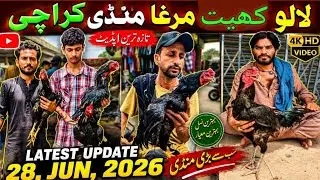 Birds market Lalukhet Sunday video | Aseel Murga Mandi in Karachi Latest rates update 
