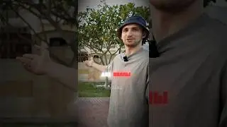 Литвин ПОБЫВАЛ ДОМА У MR BEAST⁉️💸 