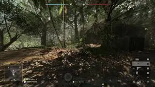 BF5