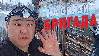 БРИГАДА на СВЯЗИ.