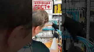 Сборка трехфазного электрощита. Assembly of a three-phase electrical panel. Timelapse.