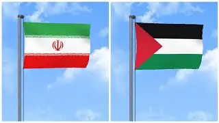 The Hidden Meaning of Palestine & Iran's Flags