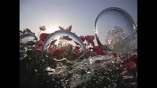 癒しでリフレシュ!!　世界初のWATER`S  ART!! SUIEN/水園(WaterHeaven)　PHOTOGRAPHER. TAKAHASHI-TOMIO