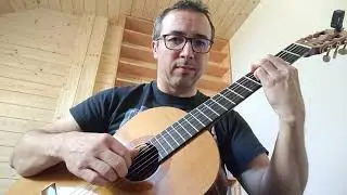 Vlasta Redl: Bečva (live guitar cover)