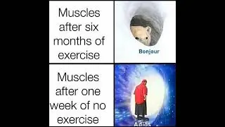 Relatable Memes 