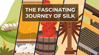 Silk: The Journey from Egg to Fabric