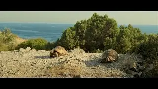 Самое красивое видео ютуба.  заповедник “Утриш“ 4k Ultra HD