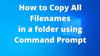 How to Copy all Filenames in a Folder | Command Prompt