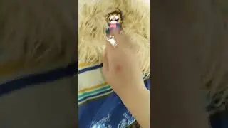 кажется марио подох