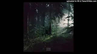 [free] interlude old xxxtentacion + heartbreak hotel type beat 