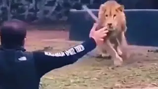 En Çok Beğeni Alan Komik Eğlenceli Videolar - Gülmek İstiyorsan İzle (2021) YENİ