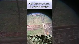 кормушка дроздов #рекомендации #дрозд #охота #охотасрогаткой #охотасвоздушкой
