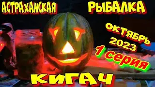 КИГАЧ октябрь 2023 - 1 серия