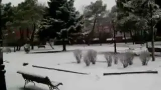 Nevada en el Parque San Miguel - Las Rozas de Madrid - Enero de 2009