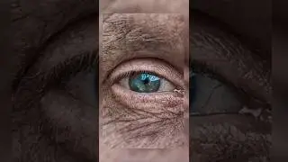 Interesting Facts About Your EYES 👀