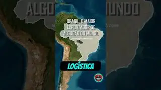 Profissional de Logística BOM entende de mercado! Conheça mercado de ALGODÃO!