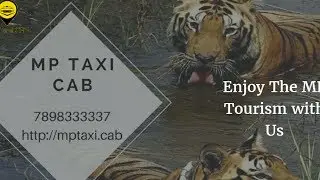 MP Tourism by MP Taxi Cab