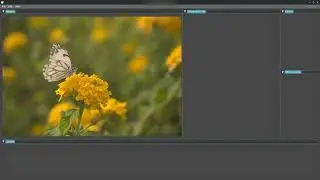 dev log #1 - raw image loading - 01/07/2026