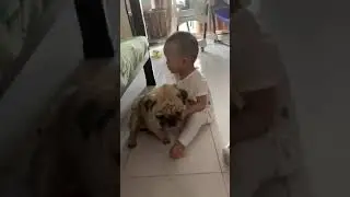 The kids really like dogs
