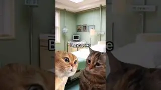 мем два кота разговаривают прикол 