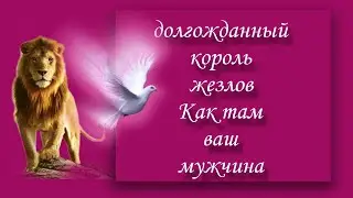 #таро