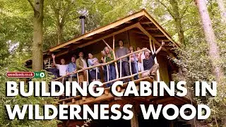 Building Cabins in Wilderness Wood
