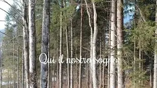 Camping Essenza Alpina, apertura 2021- Vacanze in Trentino