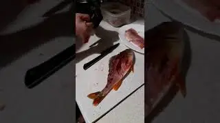 Разделка окуня на филе