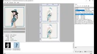 Roll Print Pro 2 new feature - DTF Roll Software