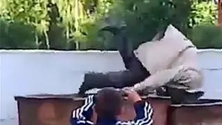 Мусорный паркур