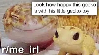 r/me_irl Best Posts #1