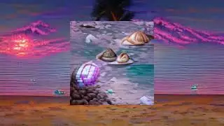 ≋ s h e l l ≋ bæ ≋