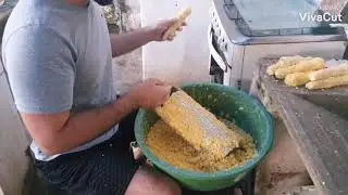 PAMONHA DE MILHO VERDE